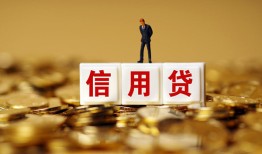深圳急用身份证贷款分期-深圳急用民间借贷网-深圳急用借款短借